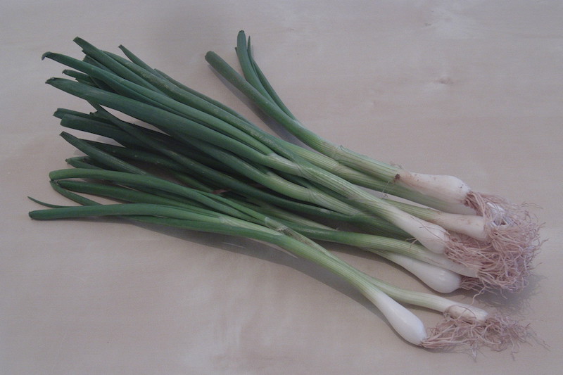 Spring Onion Sayur In The City