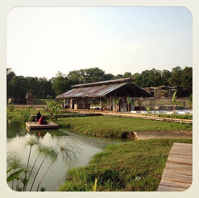 Enjoying the Nusajaya breeze and preparing the site for our workshops tomorrow (Saturday) at the brand new space at EduCity Commons, Johor. Admission is free so come say hi! -- Workshop: No Dig Gardening, 8am - 11am -- Workshop: Plant Propagation, 4pm - 7pmWaze EduCity Commons or EduCity Sports Complex and we will just be by the lake.Register at http://workshops.eatsshootsandroots.com