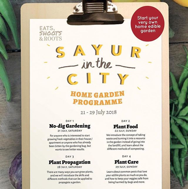 WORKSHOPS FOR ADULTS! 🏻‍🏻‍We only have a FEW SPOTS LEFT for our upcoming edible gardening workshops. This weekend's workshops are No-Dig Gardening (Sat, 21 July) and Plant Food (Sun, 22 July).-Saturday's workshop is for those interested to start their own edible garden at home but not sure how to start -- house and apartment owners alike.-On Sunday, we will teach you how to turn your food and kitchen waste into compost, for you to feed as plant food for your growing vegetable plants.-You can register for one or more workshops by DM-ing us for more details #eatsshootsandroots #green #garden #plant #vegetables #edible #grow #cook #workshop