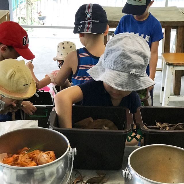 Want your kids to learn how to turn their food waste into food for the plants? In our upcoming School Holiday Programme happening next week (20-24th August), each day will cover topics from the basics of gardening, to composting, and even insects!🥕🥒--You can register your kids for one or multiple dates, but do sign up soon as spaces are limited. DM us for more info or click on the link in our bio.#eatsshootsandroots #growyourown #cookyourownfood #sayurinthecity #schoolholiday #kids #workshop #green #garden #vegetables