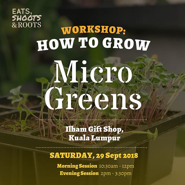 [WORKSHOP] Learn the basics of growing your own microgreens to garnish your salads and meals Ready to be harvested within 2 weeks, growing microgreens are a great way to get into growing your own food, without having to wait for so long! --THIS WORKSHOP WILL COVER:• Choosing the right container• Preparing your own seedling mix• Microgreens planting techniques• How to keep your microgreens happy• Microgreens tasting--DATE:Saturday, 29 September 2018TIME:Morning Session: 10:30am - 12pmAfternoon Session: 2pm - 3:30pmFEES:RM135 Normal RateRM105 Special Rate*--*If you register before 17 September 2018 OR bring a friend along(inclusive of printed guide and microgreens growing kit worth RM59)#eatsshootsandroots #green #workshop #plant #vegetables #herbs #microgreen #growyourown #cookyourown