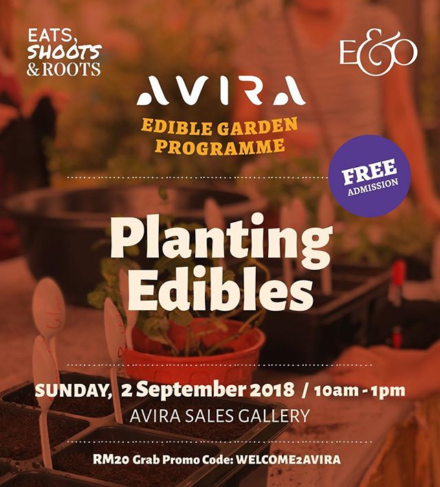 Johor folks! Join us this Sunday for a practical hands-on free workshop to learn the steps of propagating via seeds, cuttings and dividing, using the right techniques and tricks to ensure they succeed. Participants will get to take home plant propagation materials to plant at home. Bring an empty pot that you'd like to plant in and get to plant it then and there. ADMISSION IS FREE --DATE: Sunday, 2 Sept 2018TIME: 10am - 1pm LOCATION: AVIRA Sales Gallery, JohorNo. 1, Jalan Medini Timur 15,Bandar Medini Iskandar Malaysia79250 Iskandar Puteri, Johor--HOW TO REGISTERRSVP to: enquiry@avira-medini.com—FIND OUT MORE @ LINK IN BIO#eatsshootsandroots #garden #green #workshop #plants #vegetables #growyourown #cookyourown #johor