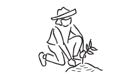 startediblegarden-3-01